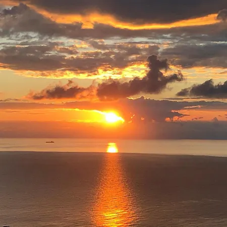 Orchidea קמוגלי