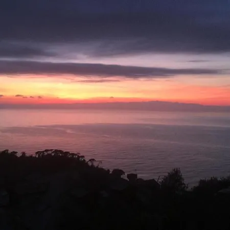 بيت ضيافة Orchidea