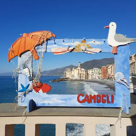 Orchidea בית הארחה קמוגלי