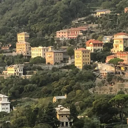 Orchidea 3* קמוגלי