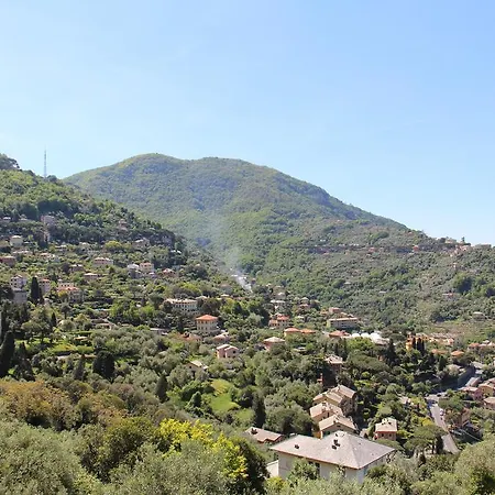 Orchidea كامولّي