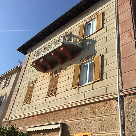 Orchidea בית הארחה