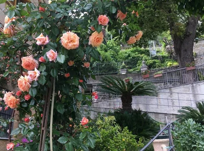 Pensionat Orchidea 3*