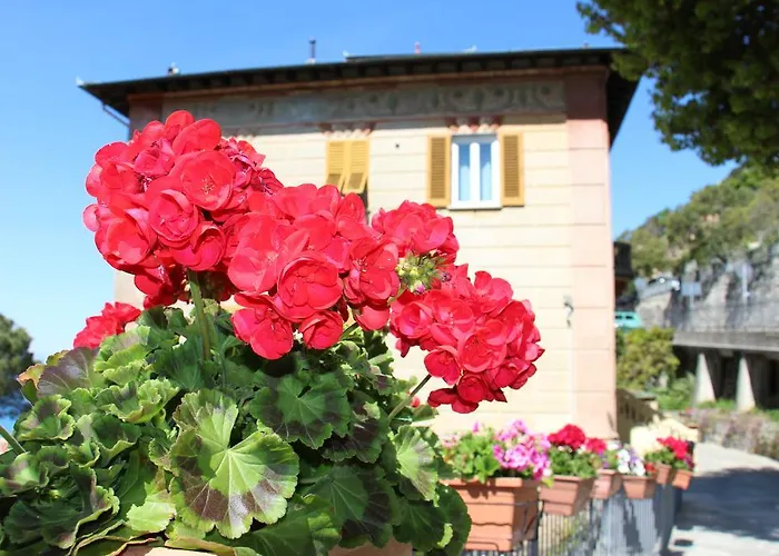 Maison d'hôtes Orchidea 3*