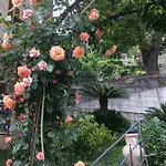 게스트하우스 Orchidea 3*