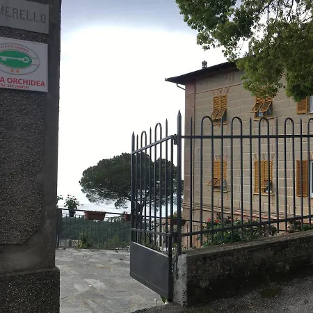 Orchidea Camogli