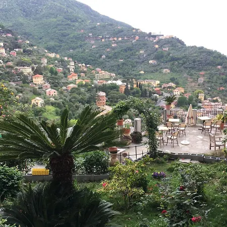Orchidea Camogli