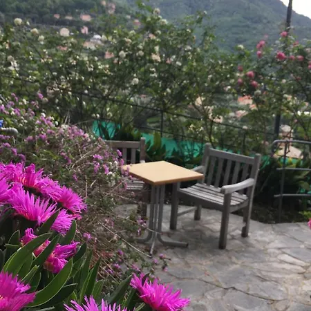Orchidea * Camogli