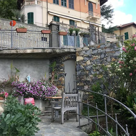 Orchidea Camogli