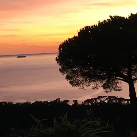 Orchidea Vendégház