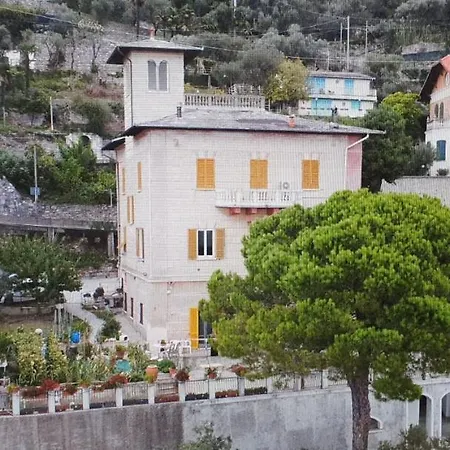 Vendégház Orchidea