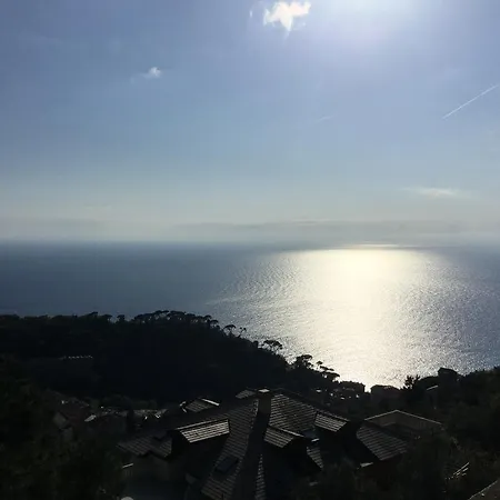 Maison d'hôtes Orchidea